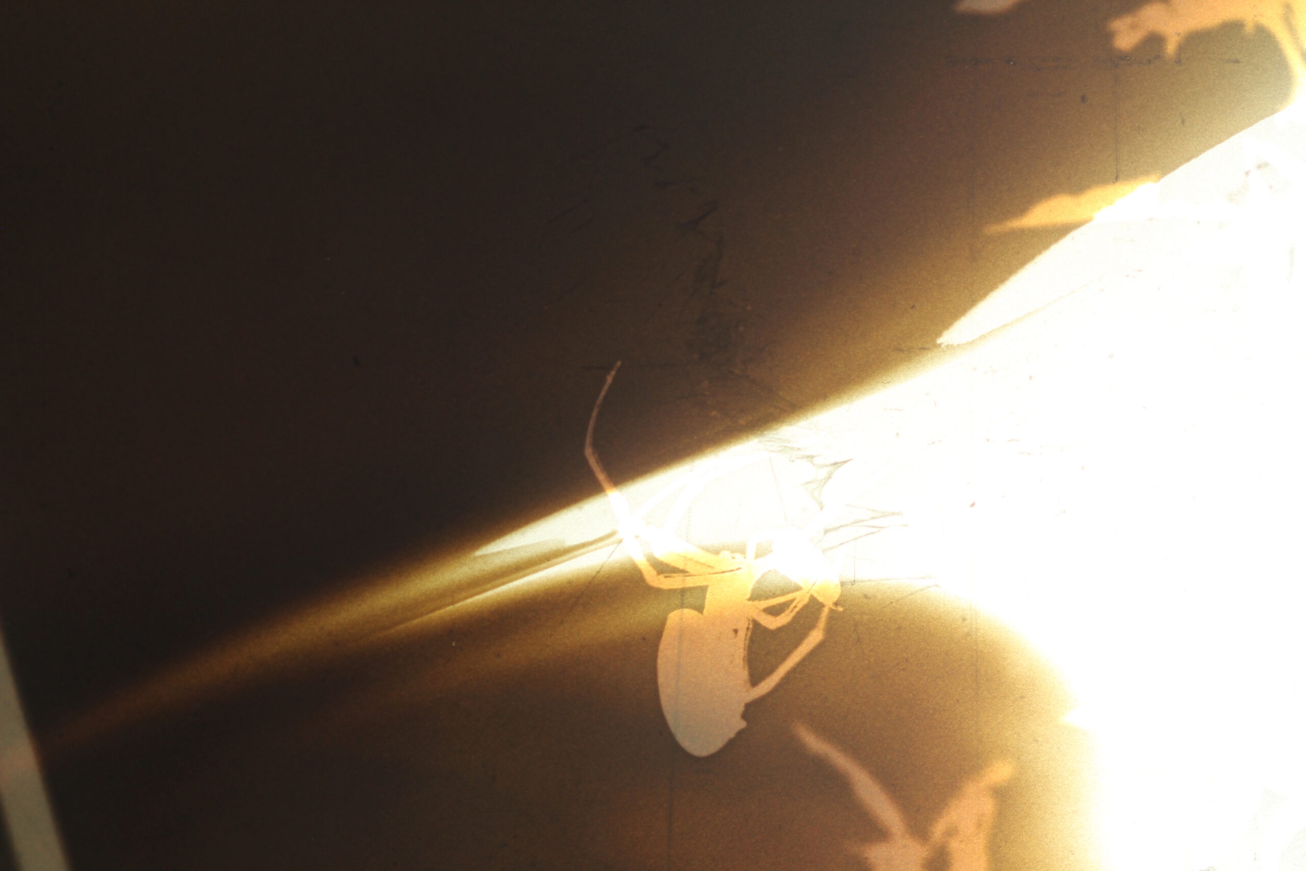 [still]